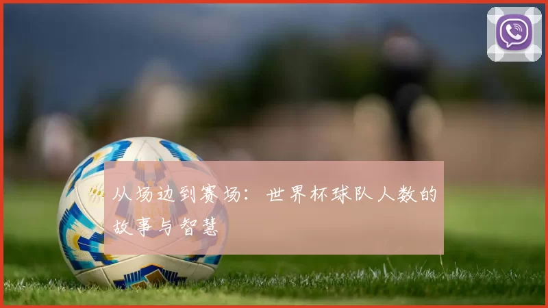从场边到赛场：世界杯球队人数的故事与智慧