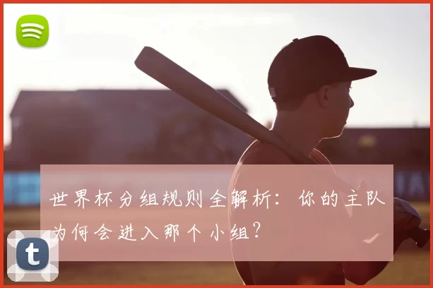 世界杯分组规则全解析:你的主队为何会进入那个小组?