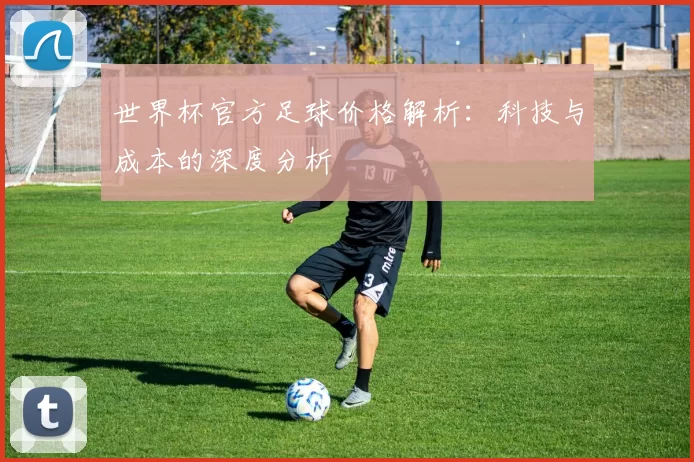 世界杯官方足球价格解析:科技与成本的深度分析
