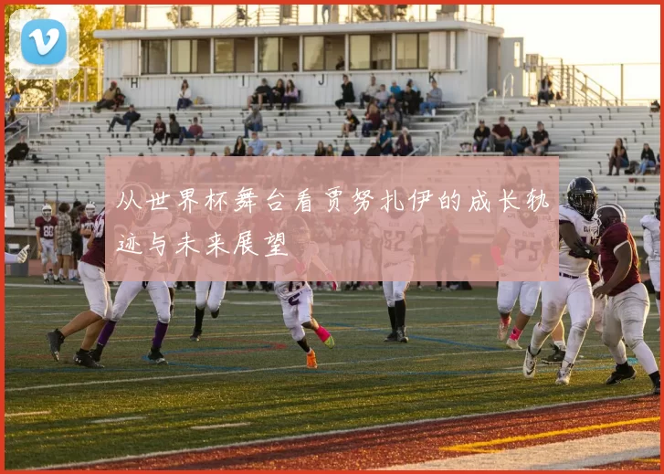 从世界杯舞台看贾努扎伊的成长轨迹与未来展望
