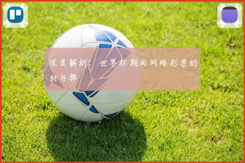 深度解析：世界杯期间网络彩票的利与弊