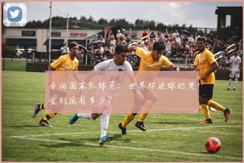 专访国家队球员：世界杯进球的奖金到底有多少？