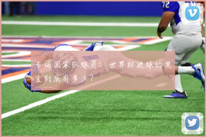 专访国家队球员：世界杯进球的奖金到底有多少？