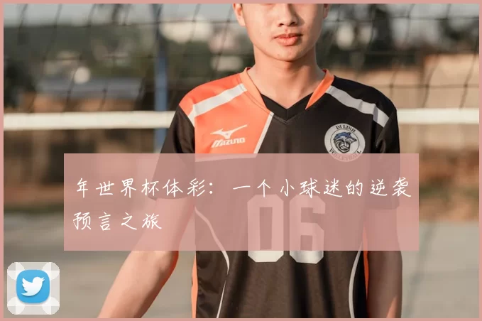 年世界杯体彩：一个小球迷的逆袭预言之旅
