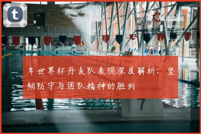 年世界杯丹麦队表现深度解析:坚韧防守与团队精神的胜利